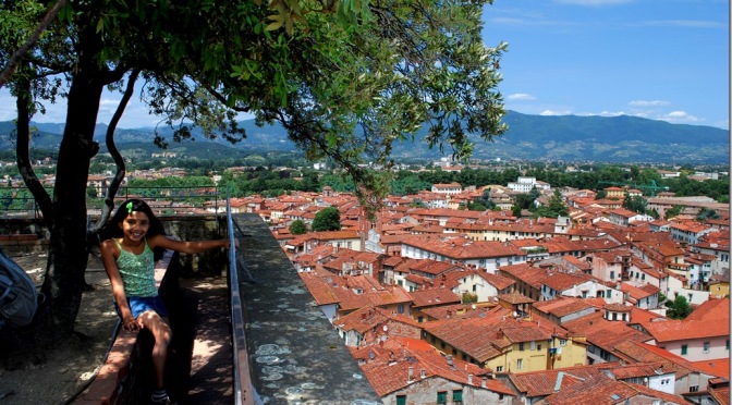Der Turm Guinigi in Lucca