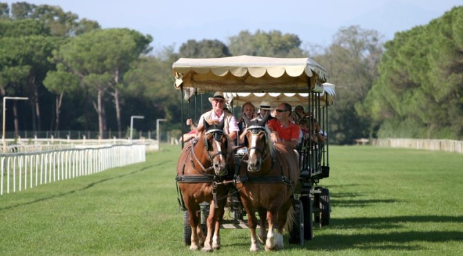 Der Regionalpark von Migliarino in San Rossore: Ausflüge mit Kutsche